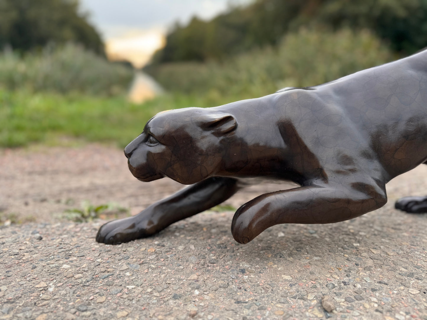 Leopard in Bronze - 90x19x30cm