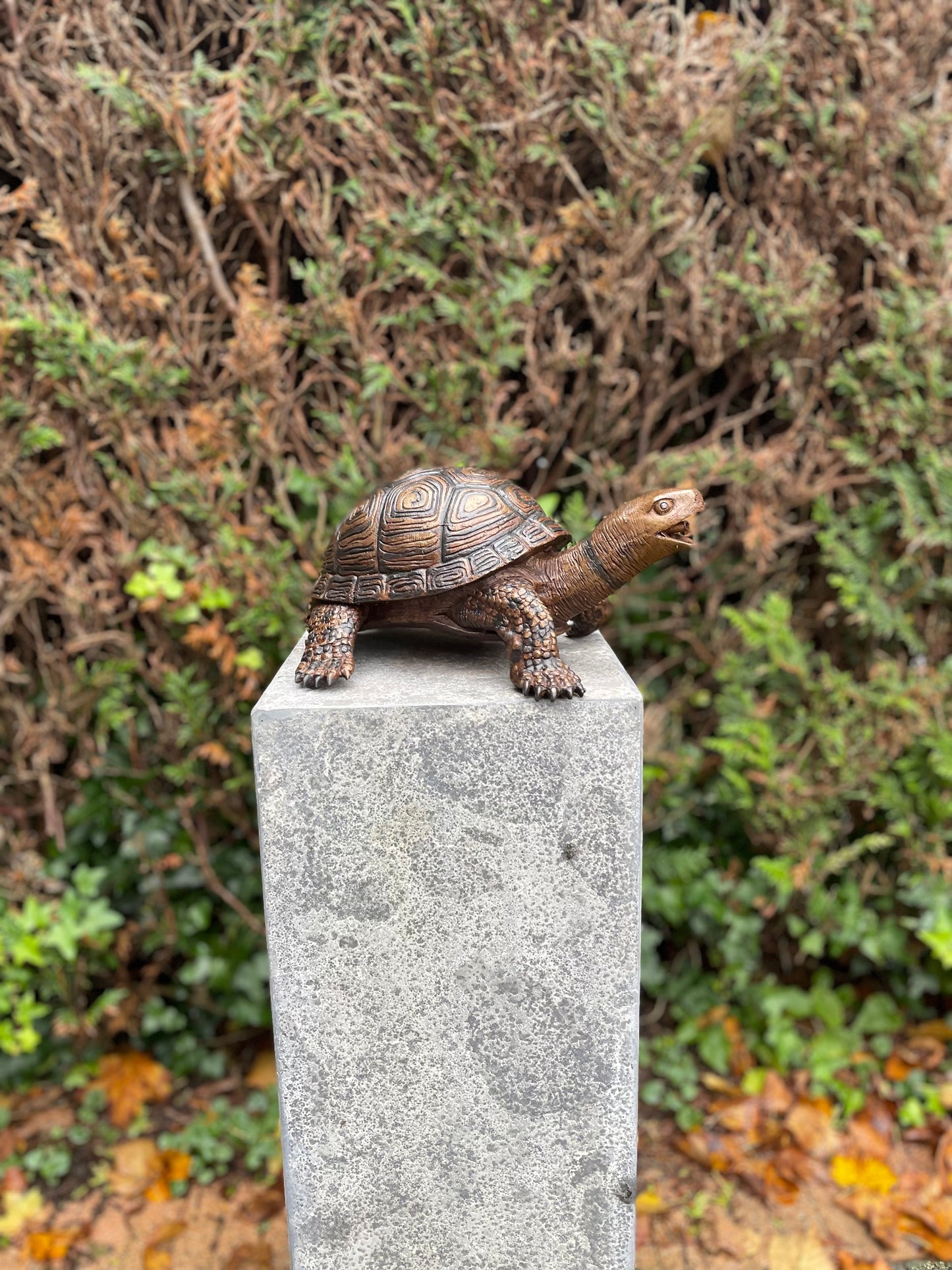 Bronzen Schildpad - Tuinbeeld - Binnen - Vijverdecoratie - Fontein