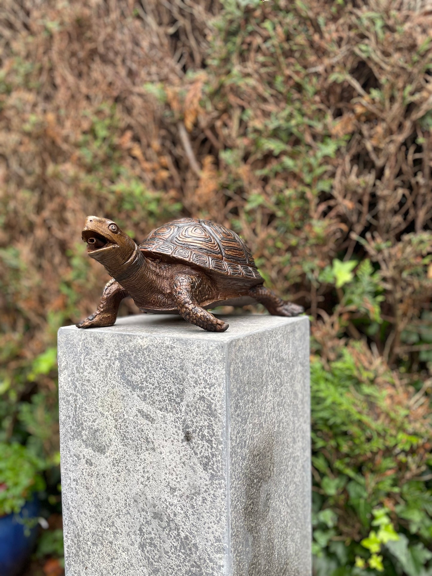 Bronzen Schildpad - Tuinbeeld - Binnen - Vijverdecoratie - Fontein